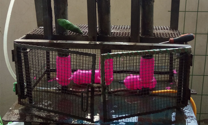 1589106987217450.jpg sb1.jpg